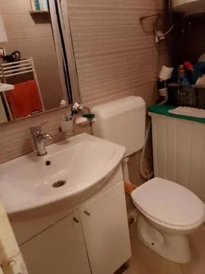 a bathroom with a white toilet and a sink at Secret garden in Visoko
