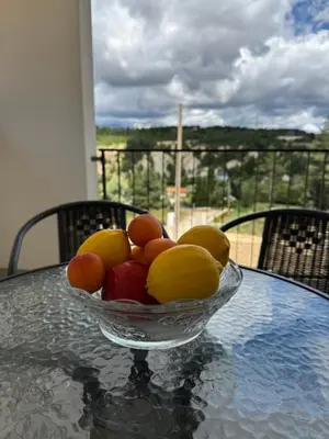 a bowl of fruit sitting on a glass table at Sašina kuća in Livno