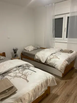 two twin beds in a room with a window at Sašina kuća in Livno