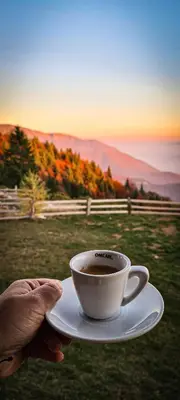 a person holding a cup of coffee on a plate at Planinska kuća 