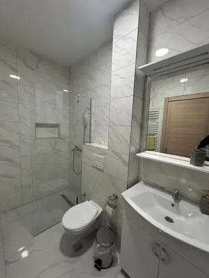 a bathroom with a toilet and a sink and a shower at Apartment ALINA in Visoko