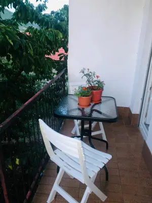 a table with a white chair and two plants on a balcony at Apartment Medi in Visoko