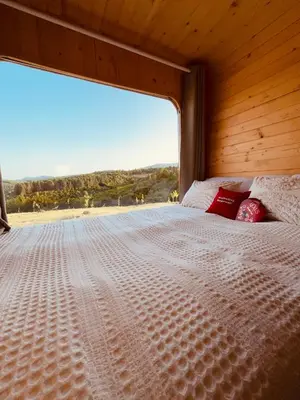 a bed in a wooden room with a large window at Petrovf Place