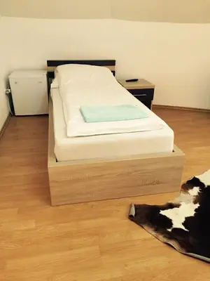 a bed in a room with a cow laying on the floor at City Bridge Guest House in Bihać