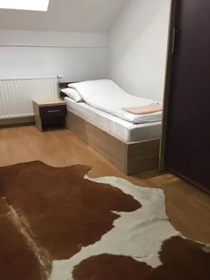 a bedroom with a bed and a rug on the floor at City Bridge Guest House in Bihać