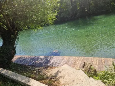 a body of water with a tree next to it at Fikro's Resort in Kulen Vakuf