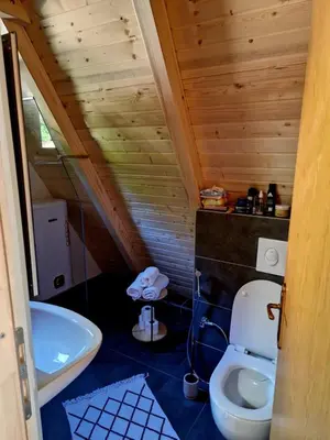 a small bathroom with a toilet and a sink at Fikro's Resort in Kulen Vakuf