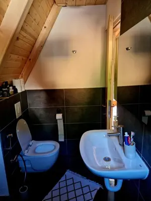 a bathroom with a toilet and a sink at Fikro's Resort in Kulen Vakuf