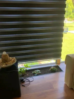 a room with a window with black blinds and plants at Vikednica ZEA
