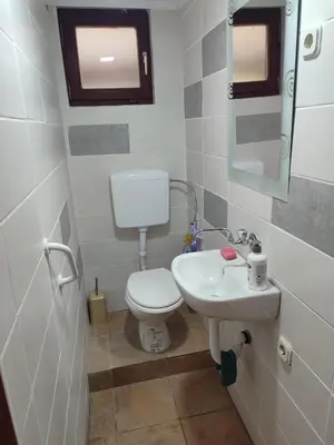 a bathroom with a toilet and a sink at Country House Bijela Voda in Bihać
