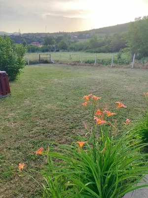 a field with orange flowers in the grass at Country House Bijela Voda in Bihać