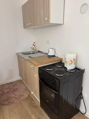 a kitchen with a black stove and a sink at Apartman Sofija in Doboj