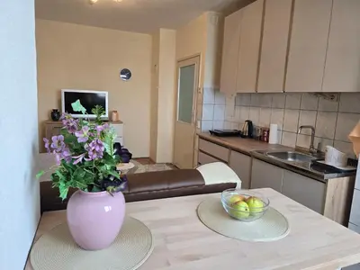 a kitchen with a vase of flowers on a table at Abrazo in Orašje