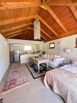 a living room with a couch and a table at Oaza Vrbas - Riverside Bungalow near Jajce in Vinac