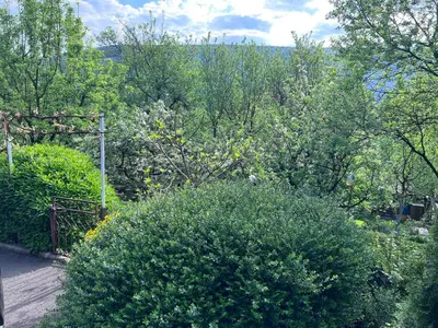 a garden with a bunch of bushes and trees at SWISS Apartment in Pokoj