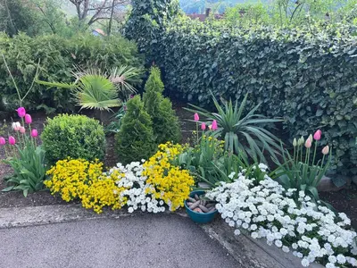 a garden with colorful flowers and plants at SWISS Apartment in Pokoj
