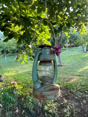 a green lantern hanging from a tree in a park at SWISS Apartment in Pokoj