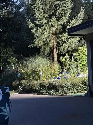 a garden with flowers and trees and a street at SWISS Apartment in Pokoj