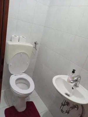 a white bathroom with a toilet and a sink at Villa S&M in Ivišovo Greblje