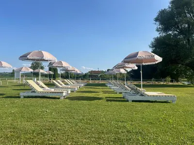 a row of lounge chairs with umbrellas in a field at Sofkin salas in Prijedor