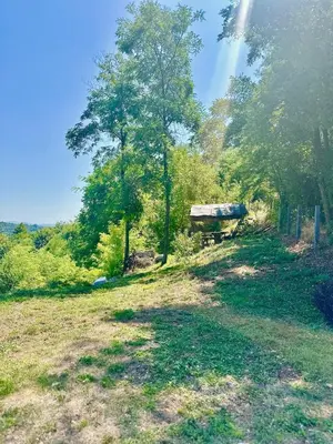 a tree in the middle of a field at Hilltop Family House Panoramic Views in Dobrnja