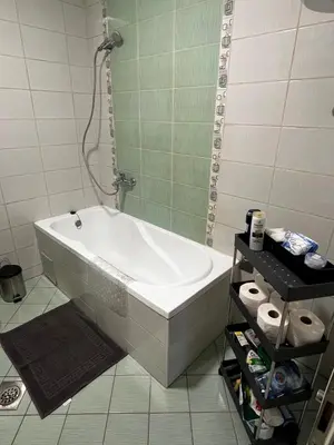 a bathroom with a bath tub and a shower at Nataša in Doboj