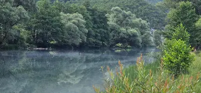 a view of a river with trees in the background at Whisper of the Pliva in Šipovo