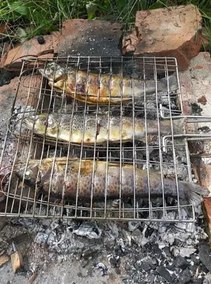 a group of fish cooking on a grill at IvanA vikendica,Krupa na Vrbasu in Banja Luka