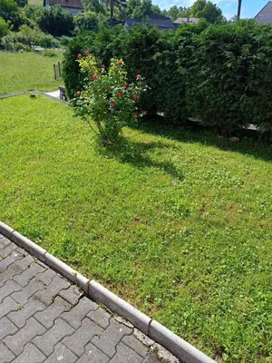a garden with a bush of flowers in the grass at Villa in Breza Village