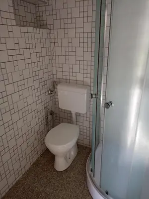 a bathroom with a toilet and a shower at Villa in Breza Village
