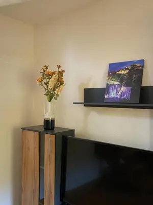 a vase of flowers sitting on a table next to a tv at Vares Luxury Apartment in Vareš