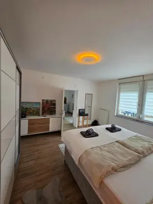 a bedroom with a large bed in a room at Apartman Omerovic - Panon Centar Tuzla in Tuzla