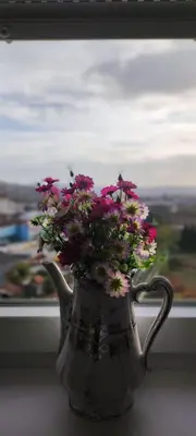 a vase filled with flowers sitting in a window at Apartman Maja 46 in Doboj