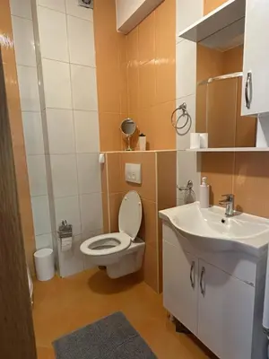 a small bathroom with a toilet and a sink at Apartman Radmanović in Banja Luka