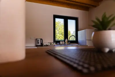 a kitchen with a window and a table with a plant at Villa Tajna in Brčko