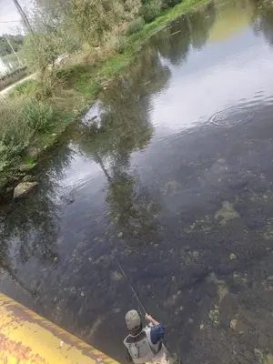 a person holding a fishing pole in a body of water at Majestic House in Ivišovo Greblje