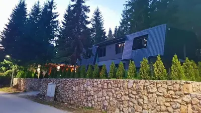 a house with a stone fence and a stone wall at Vila Beganovic in Šišava