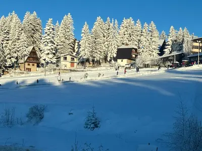 a group of people standing in the snow near trees at Vila Beganovic in Šišava