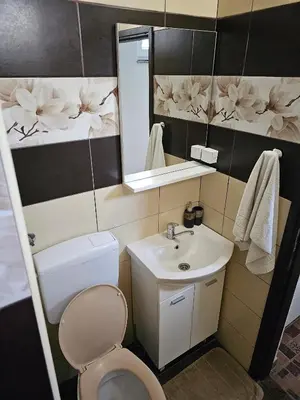 a bathroom with a toilet and a sink and a mirror at Apartmani S Banja Luka in Pištelići
