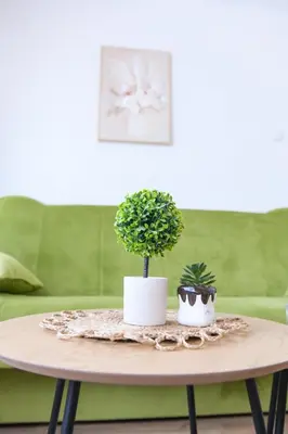 a coffee table with two potted plants on it at Stan na dan-Studio 10 centar Gradiška in Bosanska Gradiška