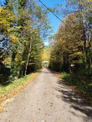 a dirt road with trees on both sides at Villa Kamenica in Zavidovići