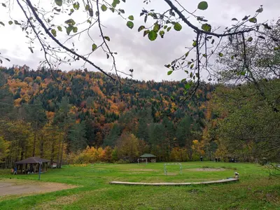 a park with a soccer field in the middle of a forest at Villa Kamenica in Zavidovići