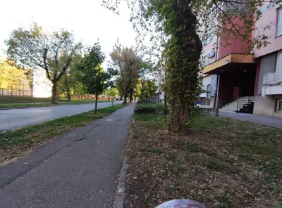 a tree on the side of a street next to a sidewalk at Sunny Banja Luka in Banja Luka
