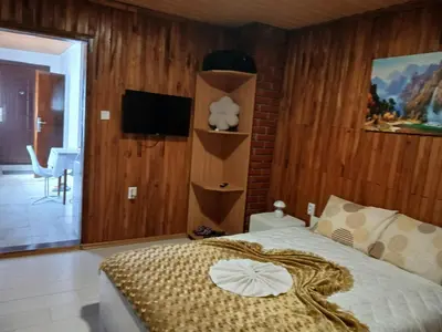 a bedroom with a bed and a tv on a wall at Studio apartman MA Kostajnica in Kostajnica