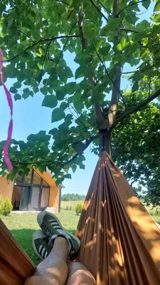 a person laying in a hammock under a tree at Kovačnica 55