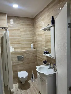 a bathroom with a toilet and a sink at Elly in Modriča