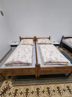 two beds sitting on top of a rug in a room at Sobe Kod Ćobe in Matuzići