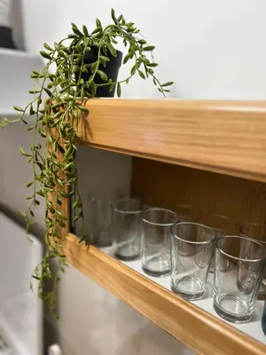 a row of glasses on a shelf with a plant at Tajni kutak in Bosanska Gradiška