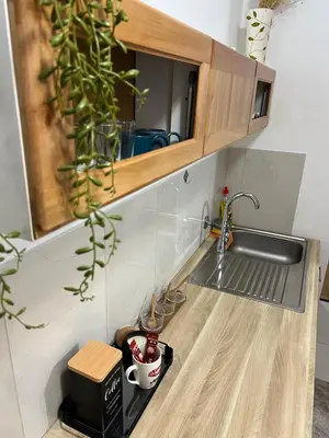 a kitchen counter with a sink and a potted plant at Tajni kutak in Bosanska Gradiška