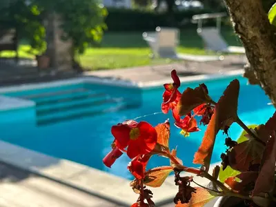 a plant with red flowers next to a swimming pool at Villa Garden in Banja Luka